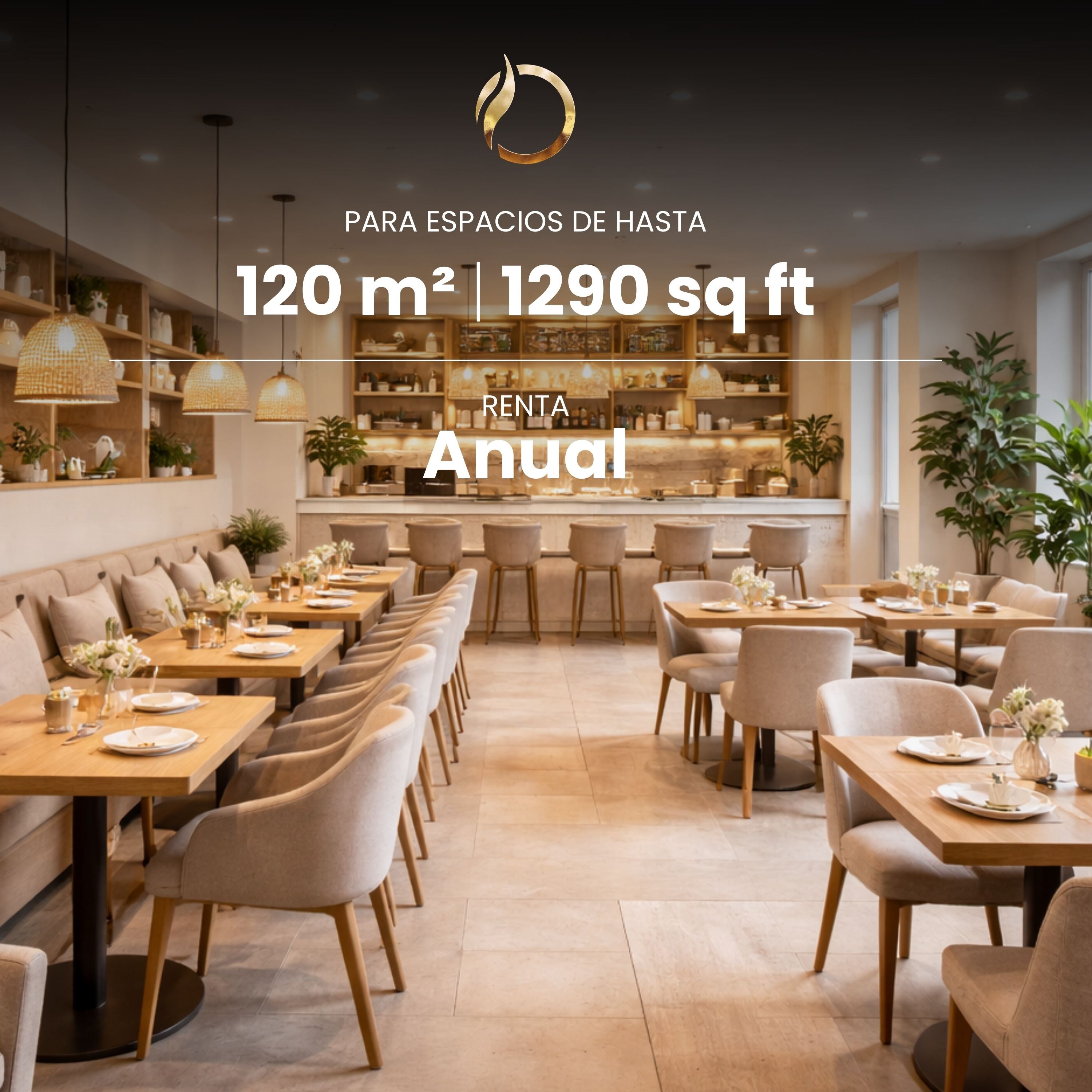 Annual Aromatization Service for spaces up to 120 m2