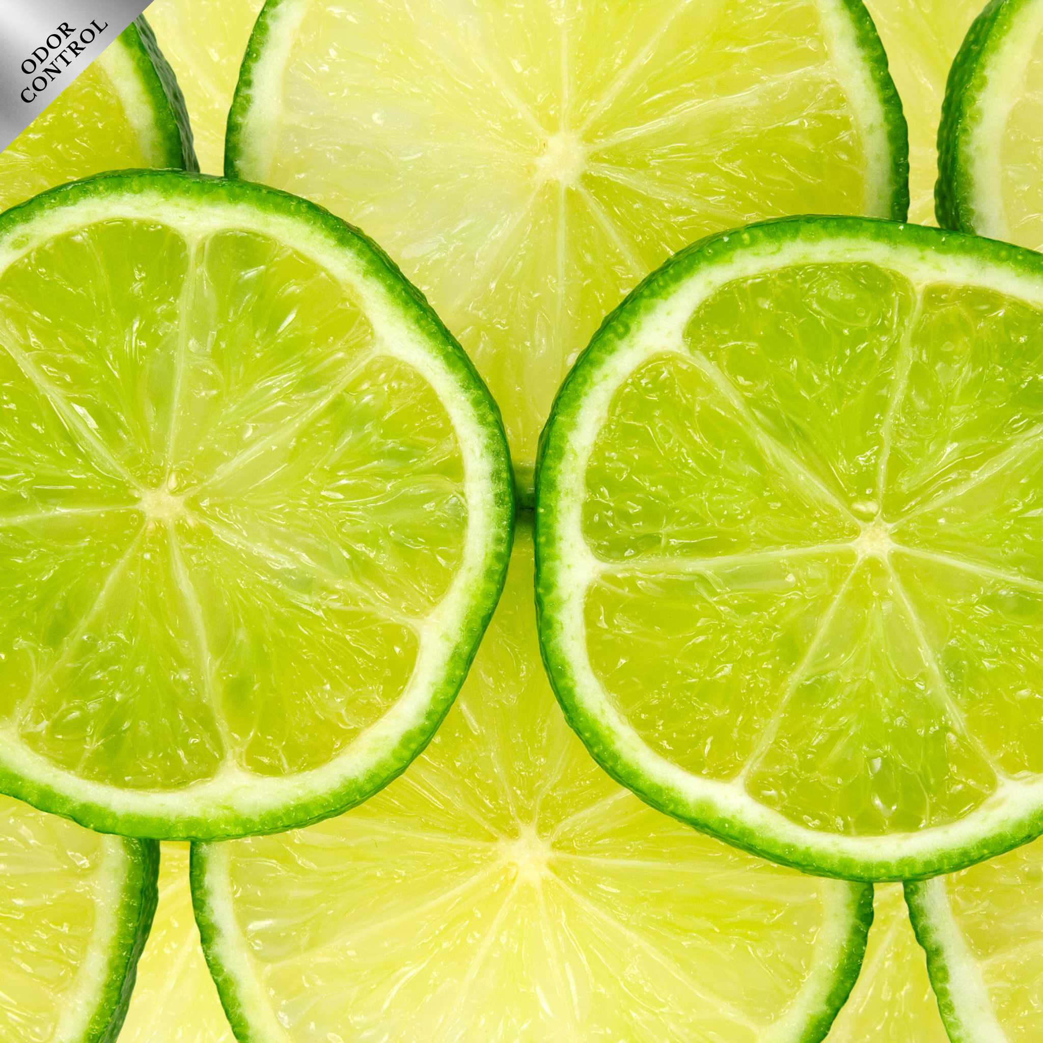 Suscripción Neutral Ever Green (Neutraliza olores)