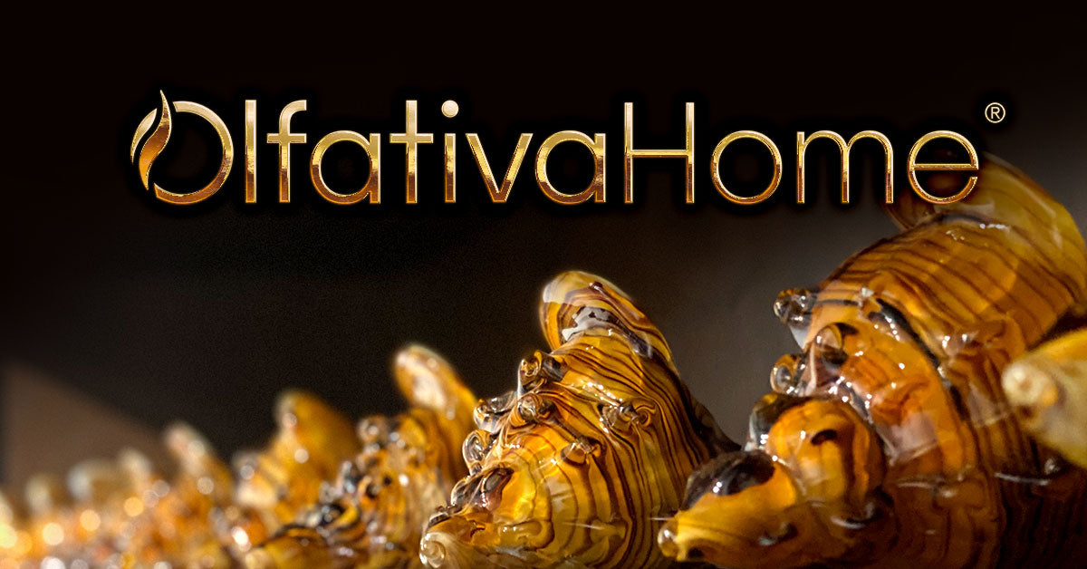 ▷ Transforma tus espacios en experiencias memorables - OlfativaHome