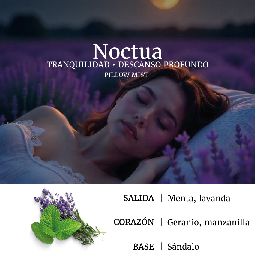 COFRE SENSORIAL AROMAS NAVIDAD