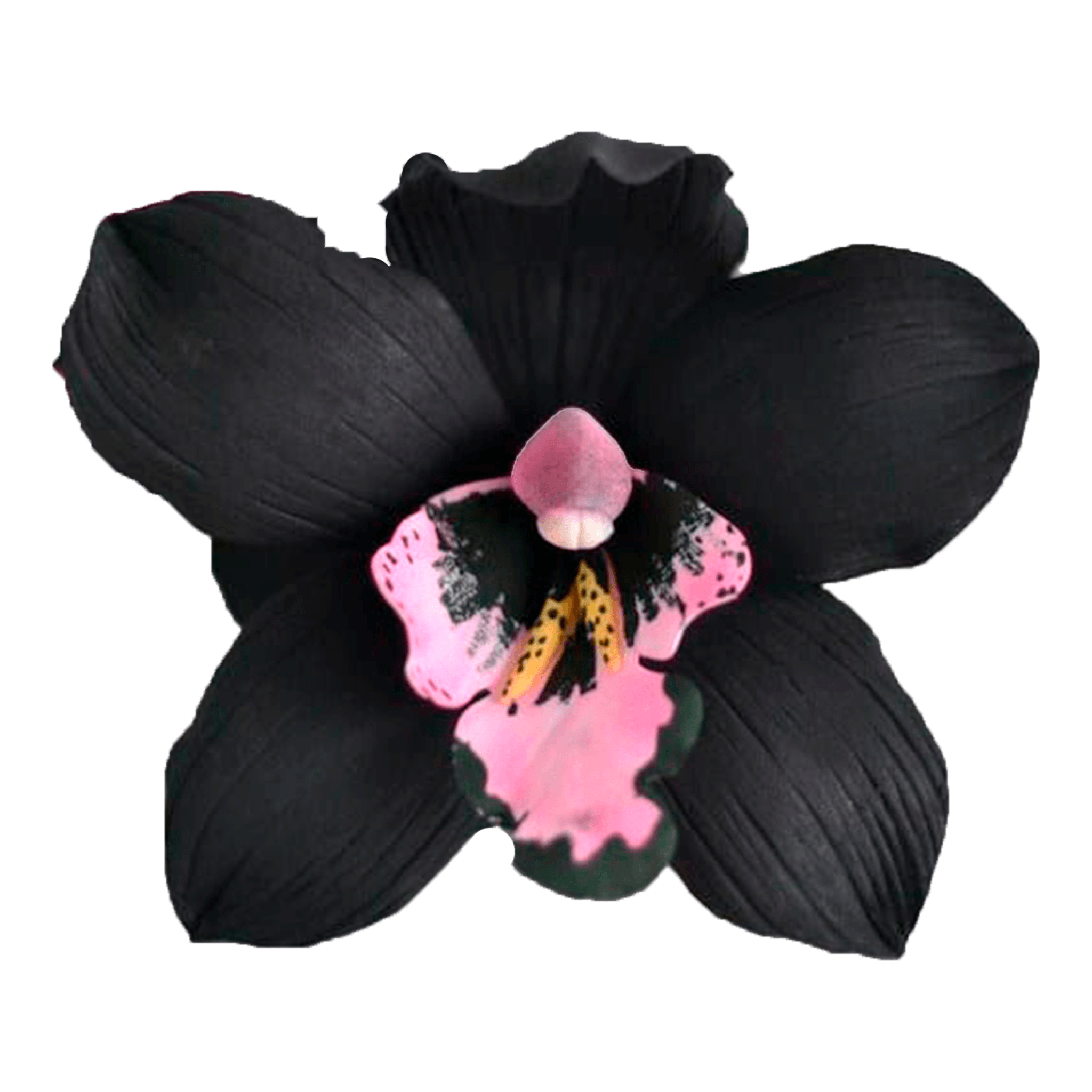 Fragancia Black Swan - Indoor Mist