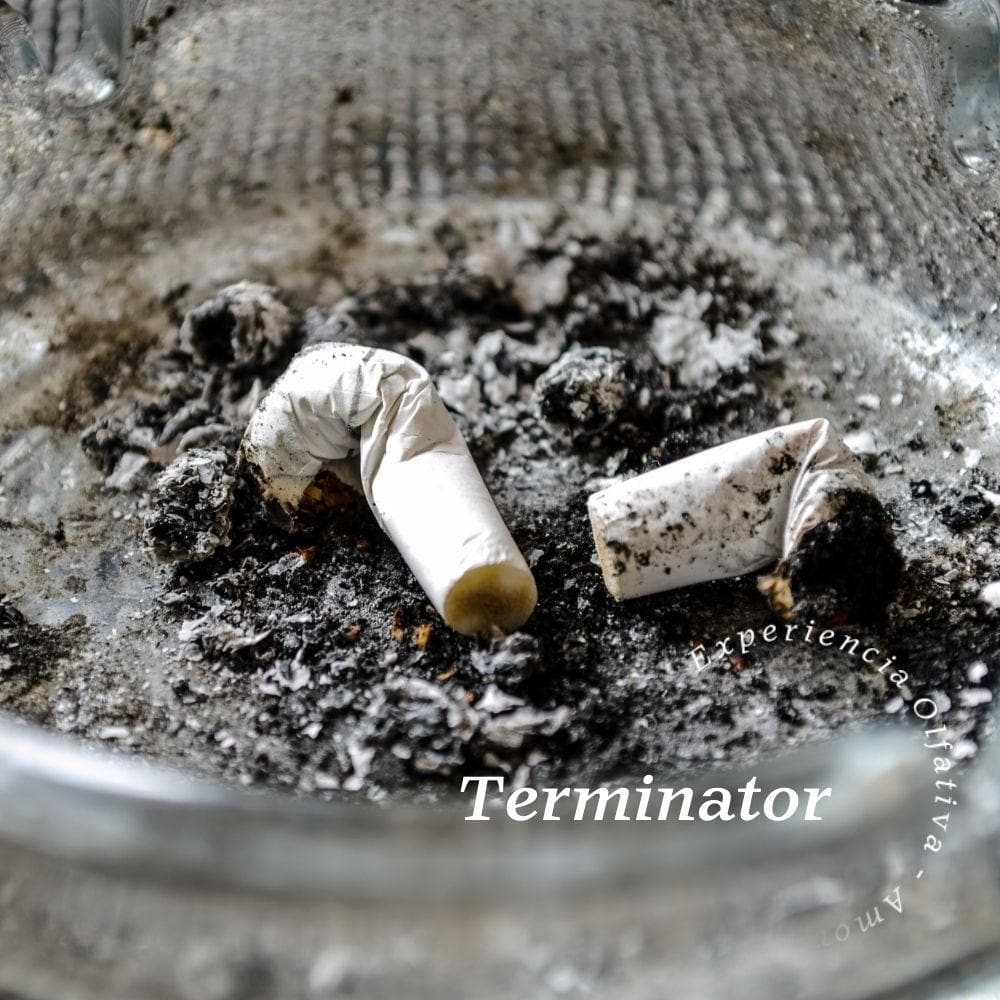 Aroma para auto Terminator (Control de olores)
