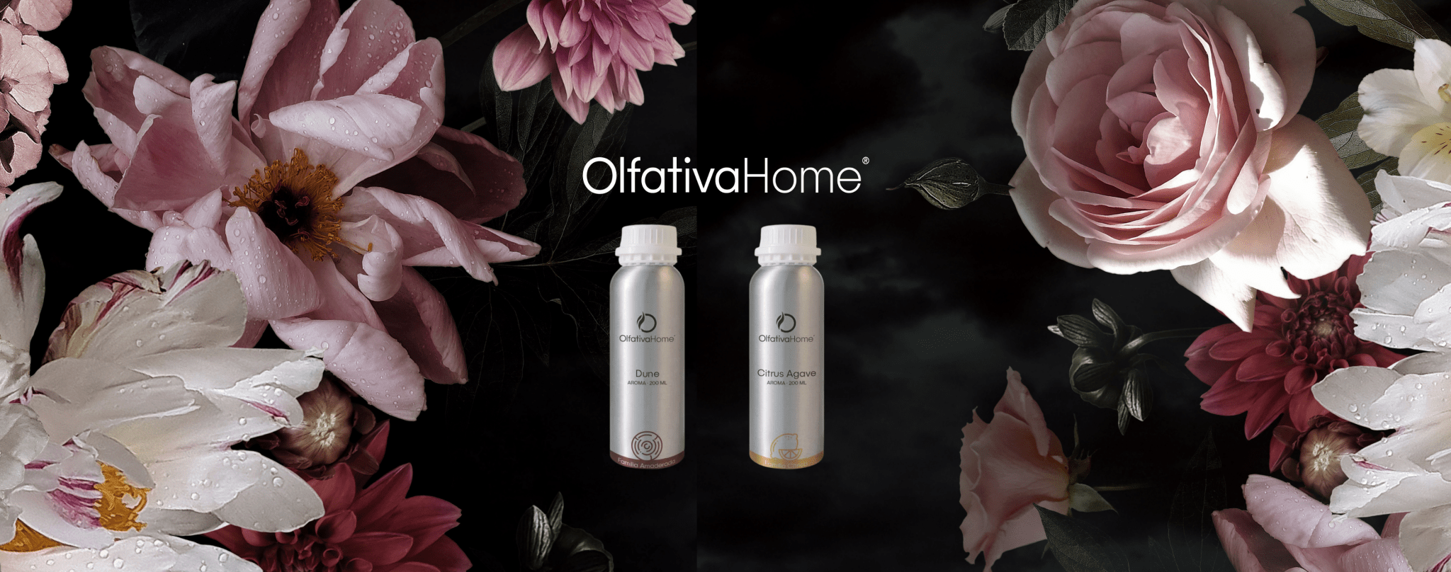 PERFUMES DE NICHO PARA EL HOGAR, CREA AMBIENTES UNICOS Y ELEGANTES - Olfativa Home