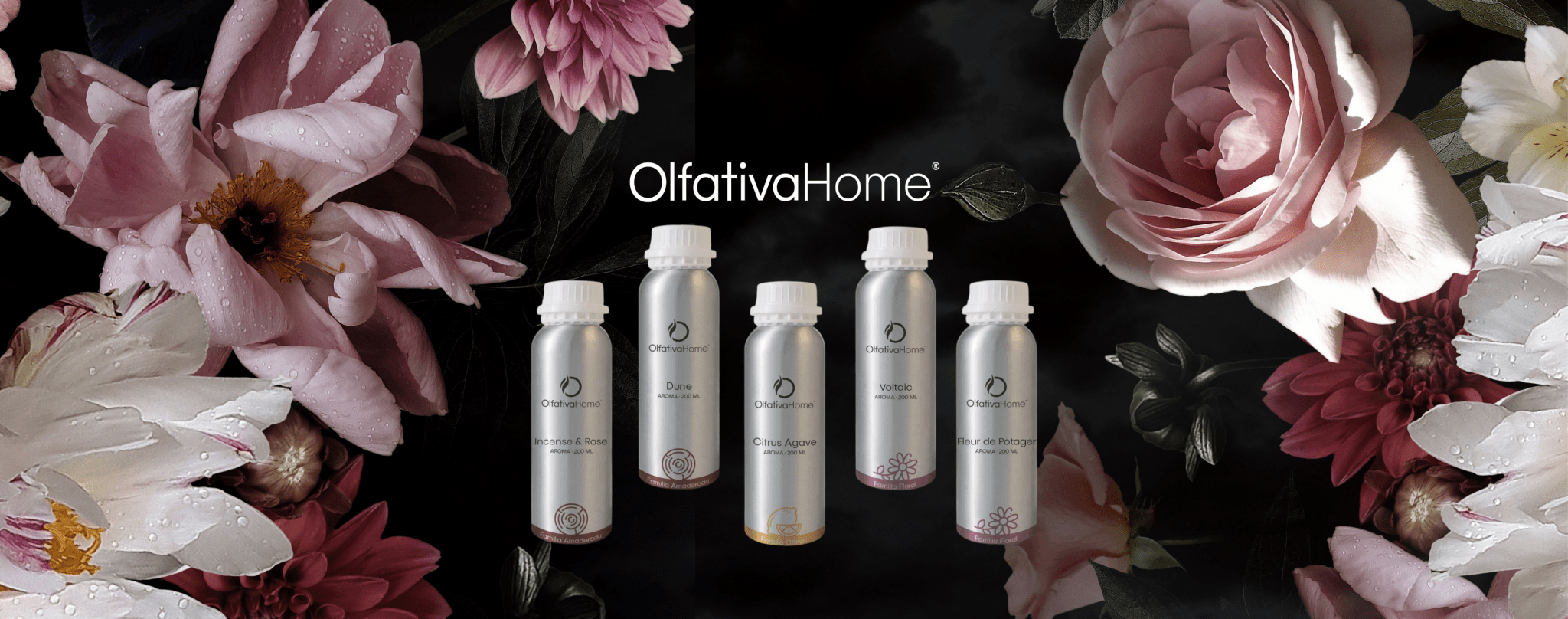 PERFUMES DE NICHO PARA EL HOGAR, CREA AMBIENTES UNICOS Y ELEGANTES - Olfativa Home