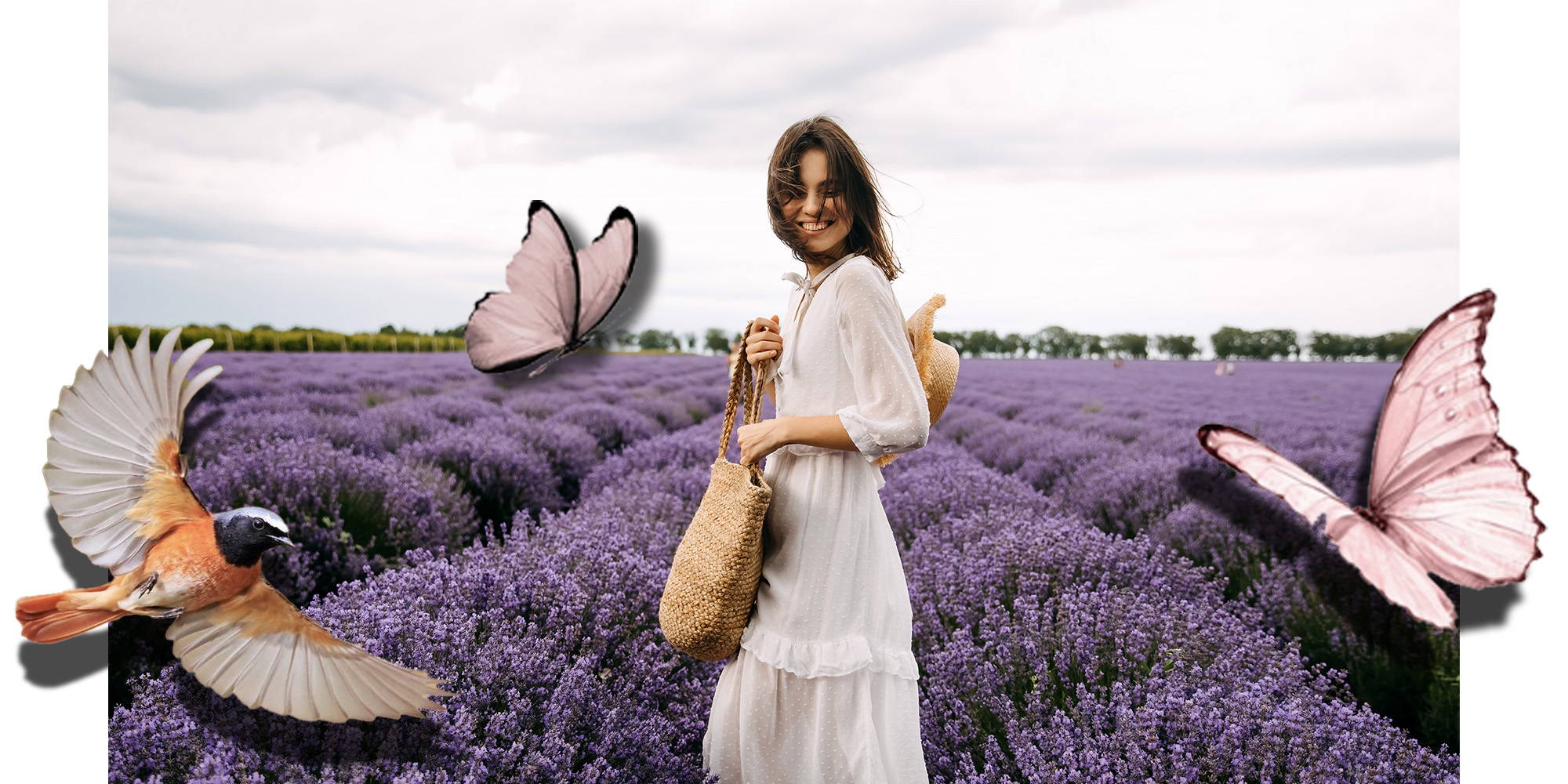 Propiedades de la Lavanda - Olfativa Home