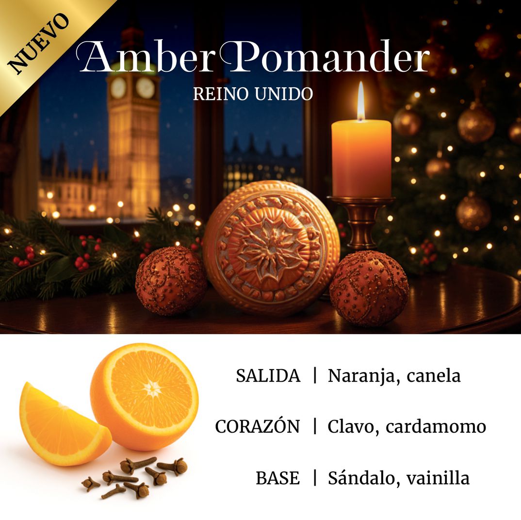 SET XMA´S DELIVERY (Difusor Enzo + 2 Aromas 10ml + Indoor Mist Navidad)