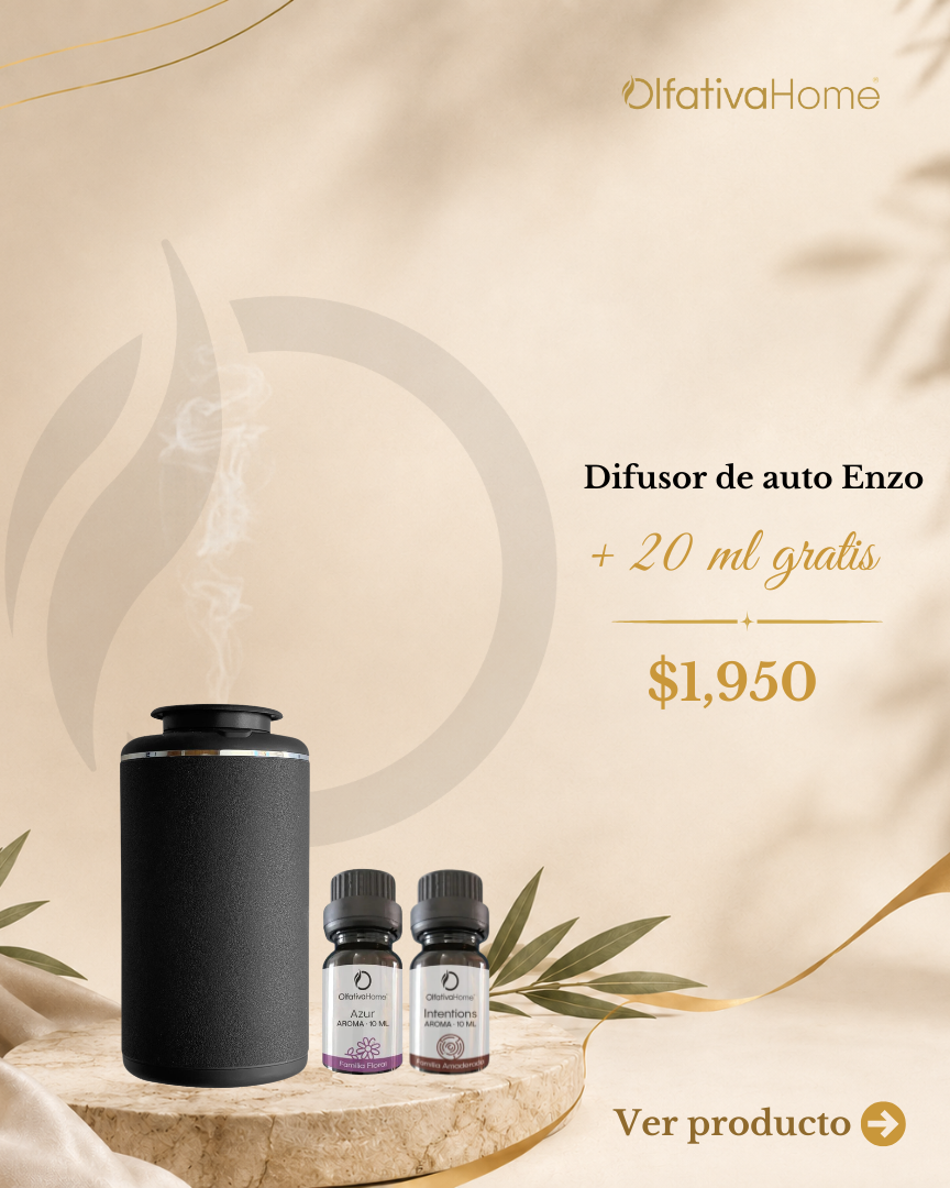 SET: Enzo Diffuser + 2 Free 10 ml Fragrances