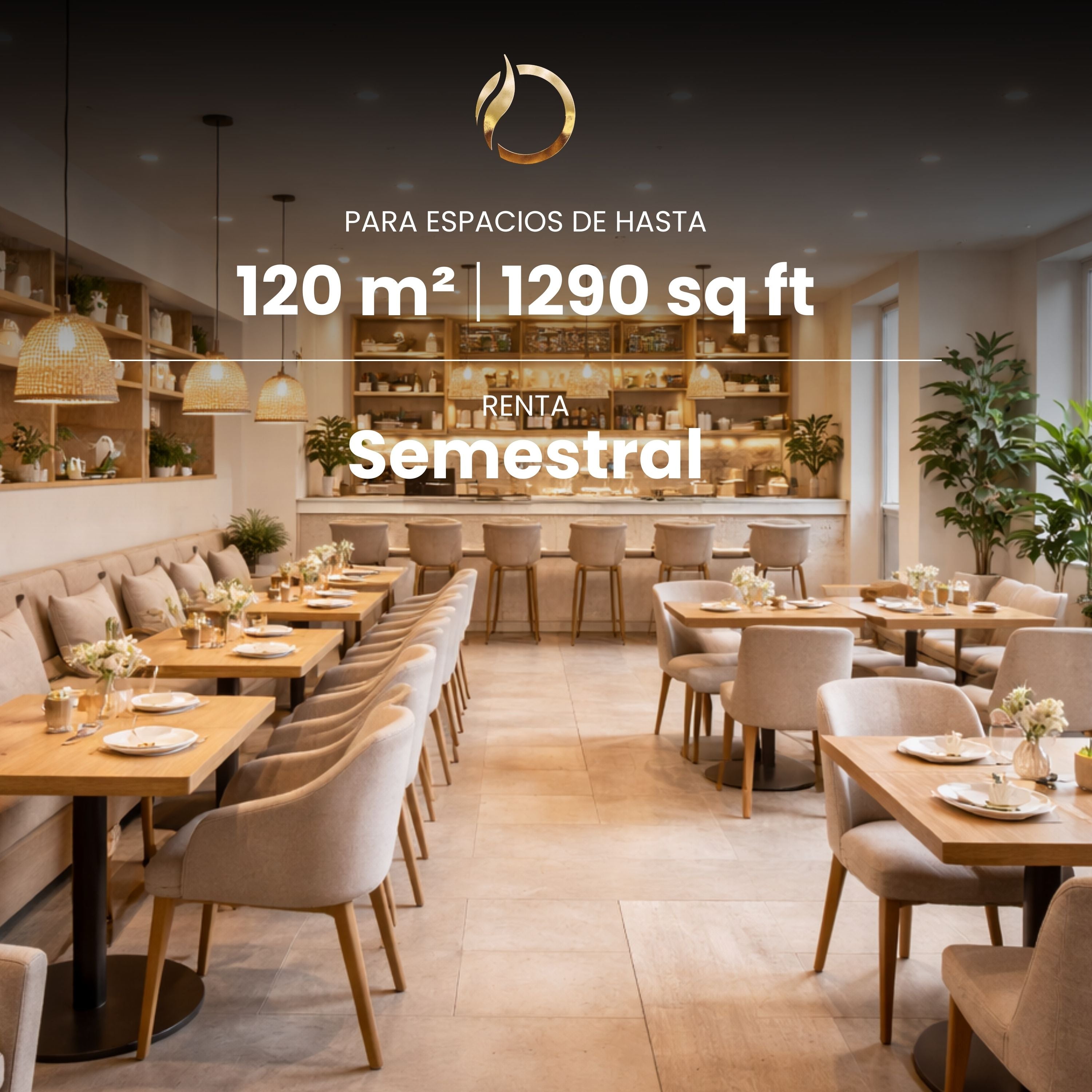 Servicio de Aromatización Semestral para espacios de hasta 120 m2