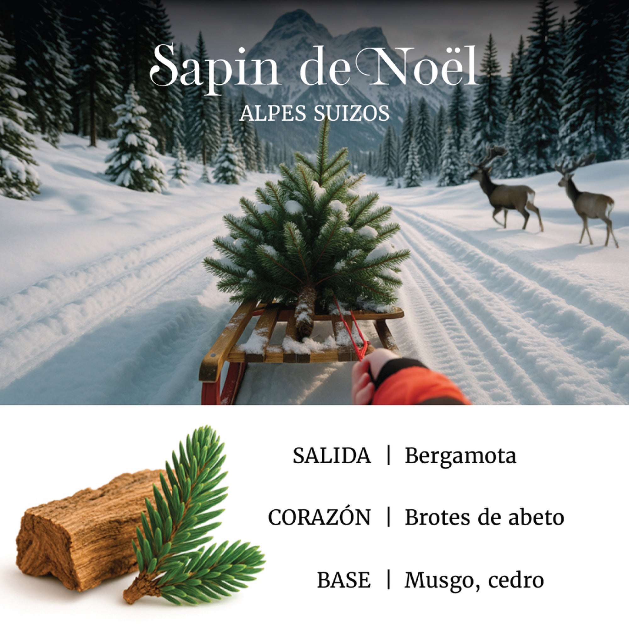 COFRE SENSORIAL AROMAS NAVIDAD