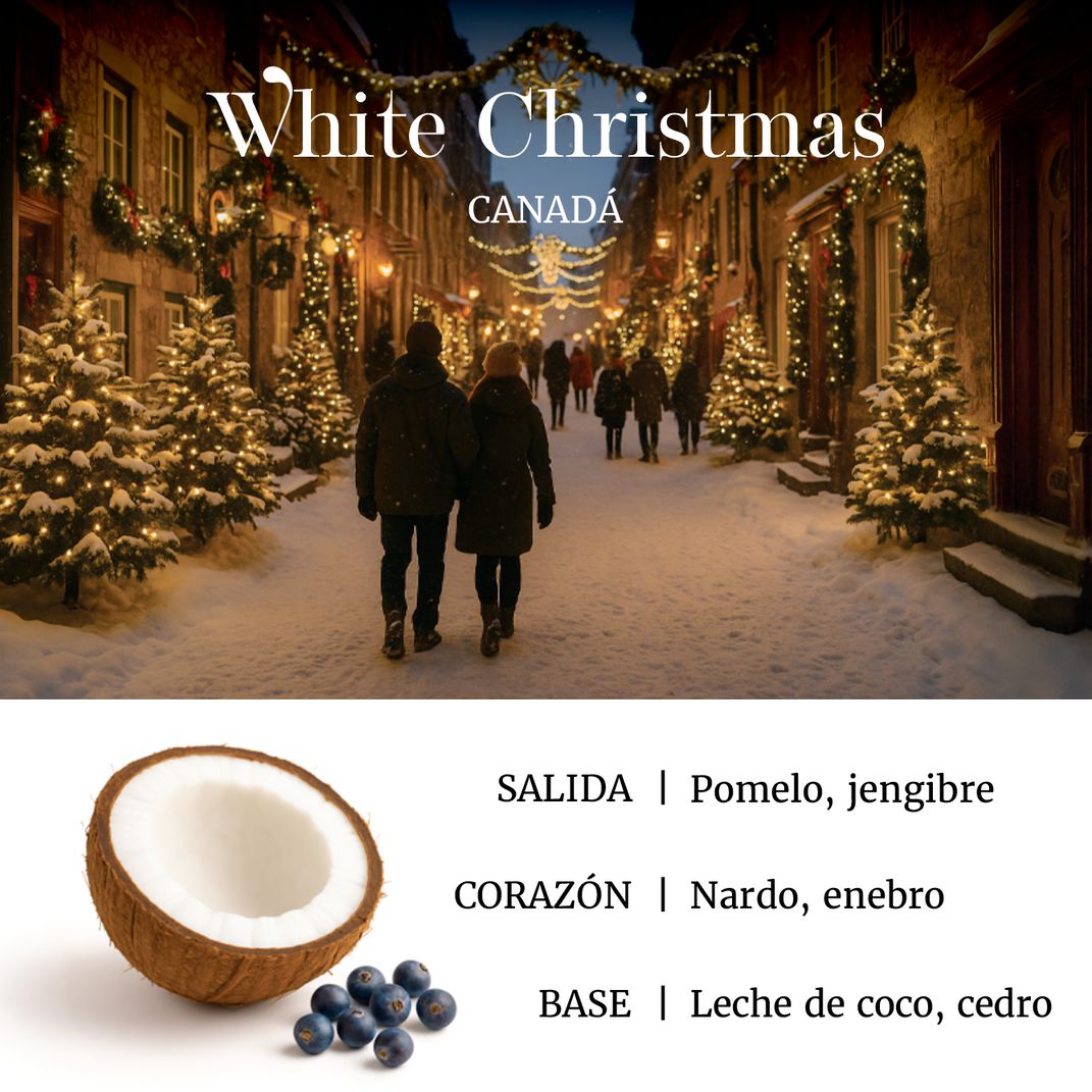 SET XMA´S DELIVERY (Difusor Enzo + 2 Aromas 10ml + Indoor Mist Navidad)