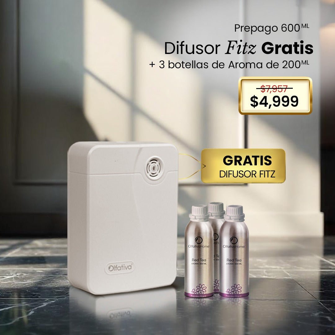 Difusor Fitz Gratis con prepago de 3 aromas BF24 - Olfativa Home