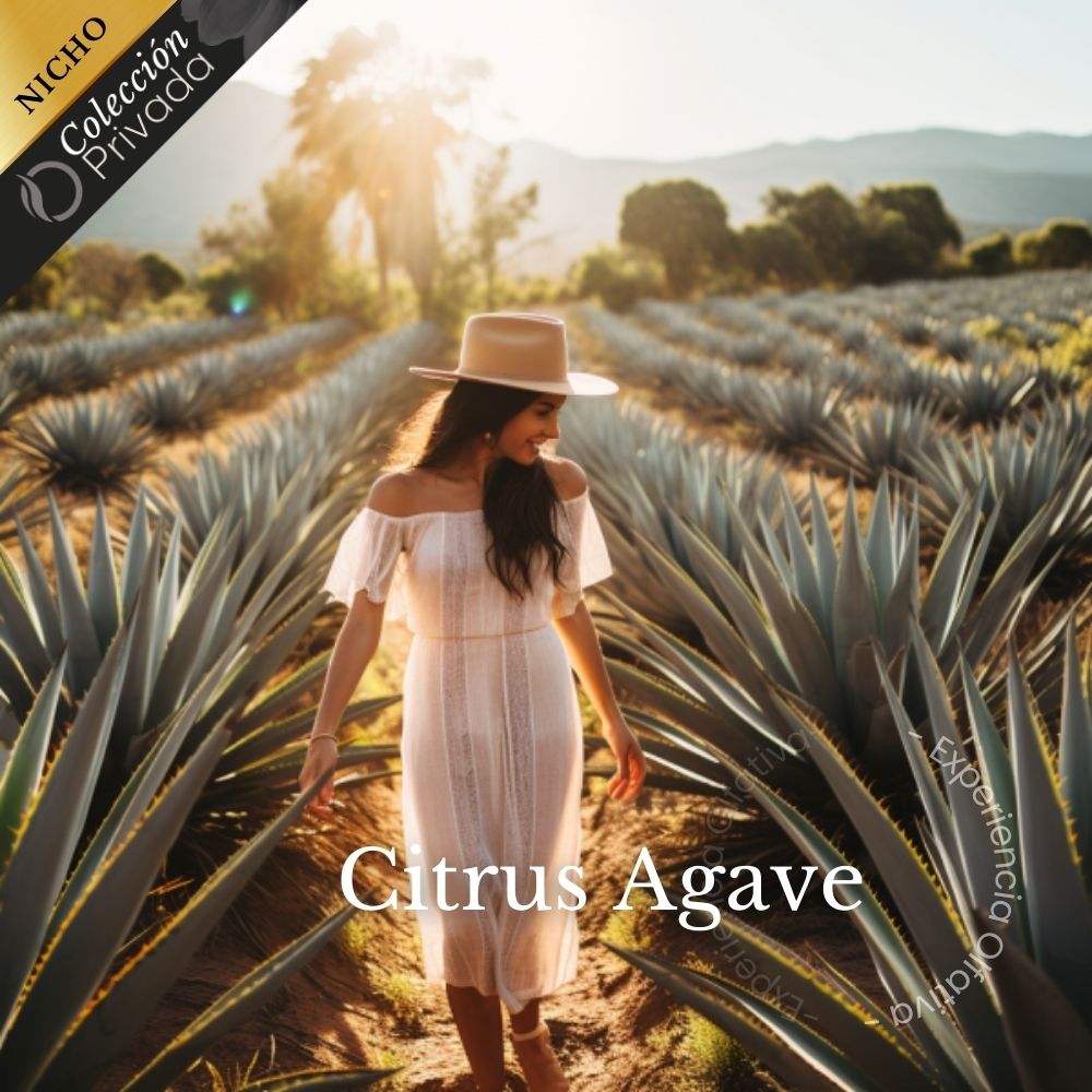 Aroma para Auto Citrus Agave (Tradiciones · Autenticidad)