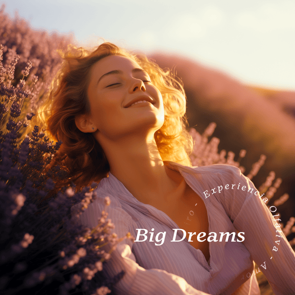 Big Dreams Aroma - Olfativa Home Aroma