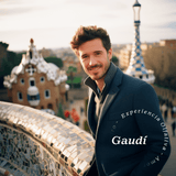 Aroma Gaudí (Cítricos, tomillo y sándalo) - Olfativa Home Aroma