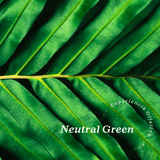 Aroma Neutral Green - Olfativa Home Aroma