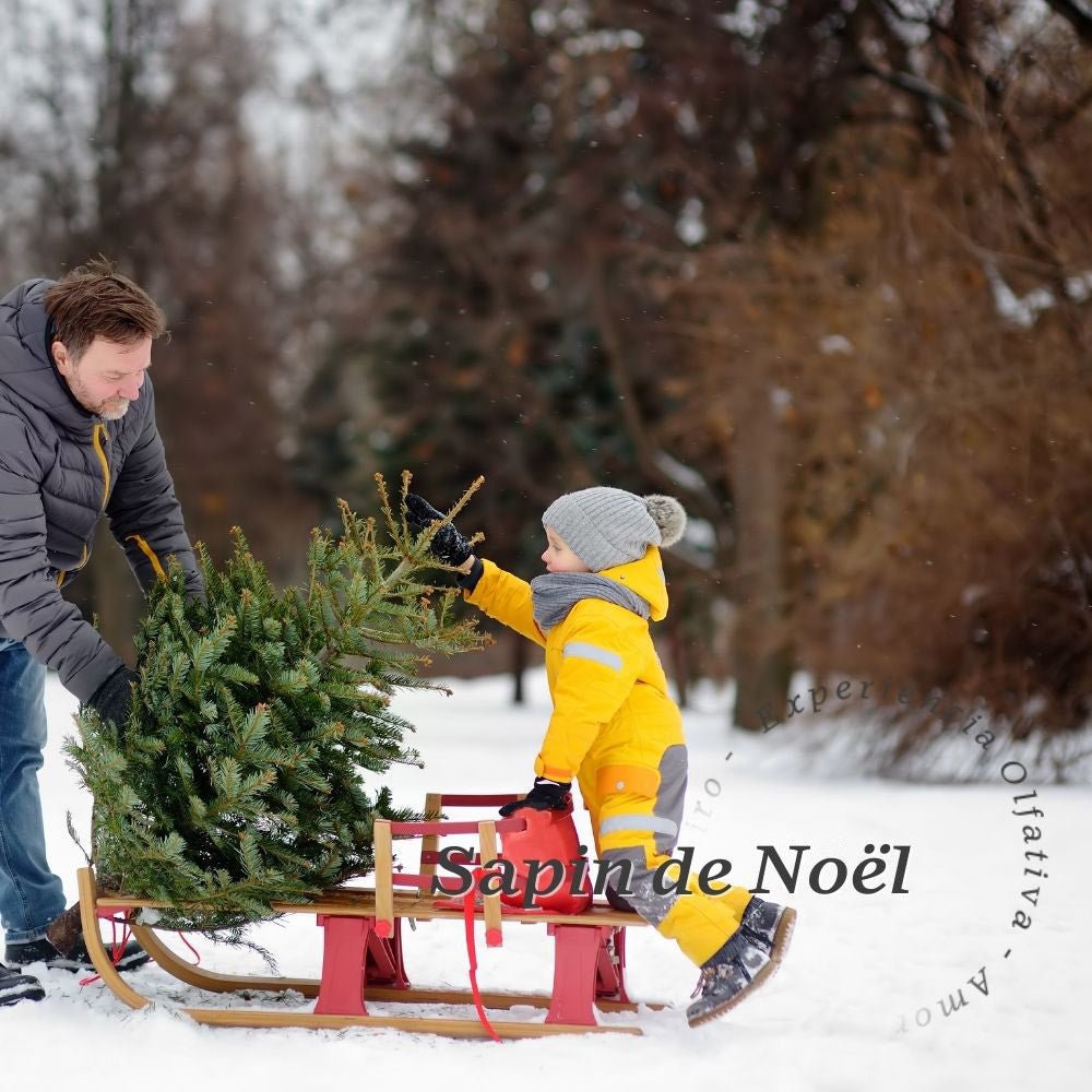 Aroma Sapin de Noel