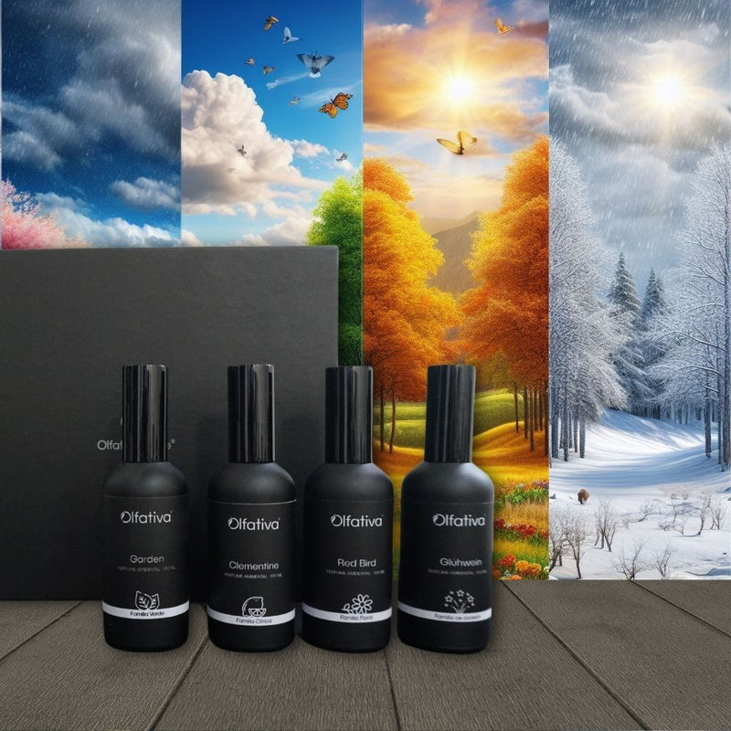 Kit 4 Room Spray estaciones del año Edición limitada - Olfativa Home