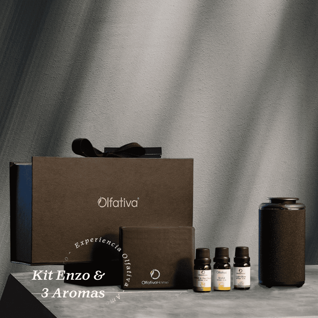 Kit Difusor Enzo & 3 fragancias de 10 ml