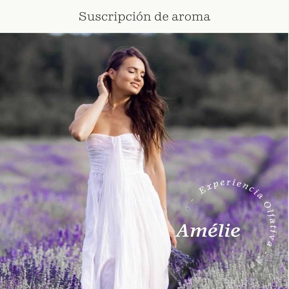 Suscripción Amélie (Lavanda Inglesa y Silvestre, Cedro Azul) - Olfativa Home Suscripción