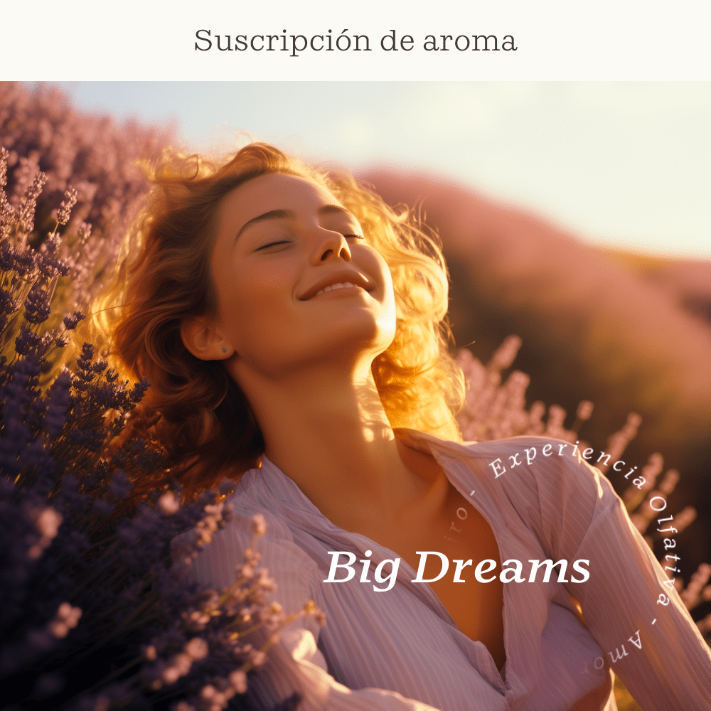 Suscripción Big Dreams - Olfativa Home Suscripción