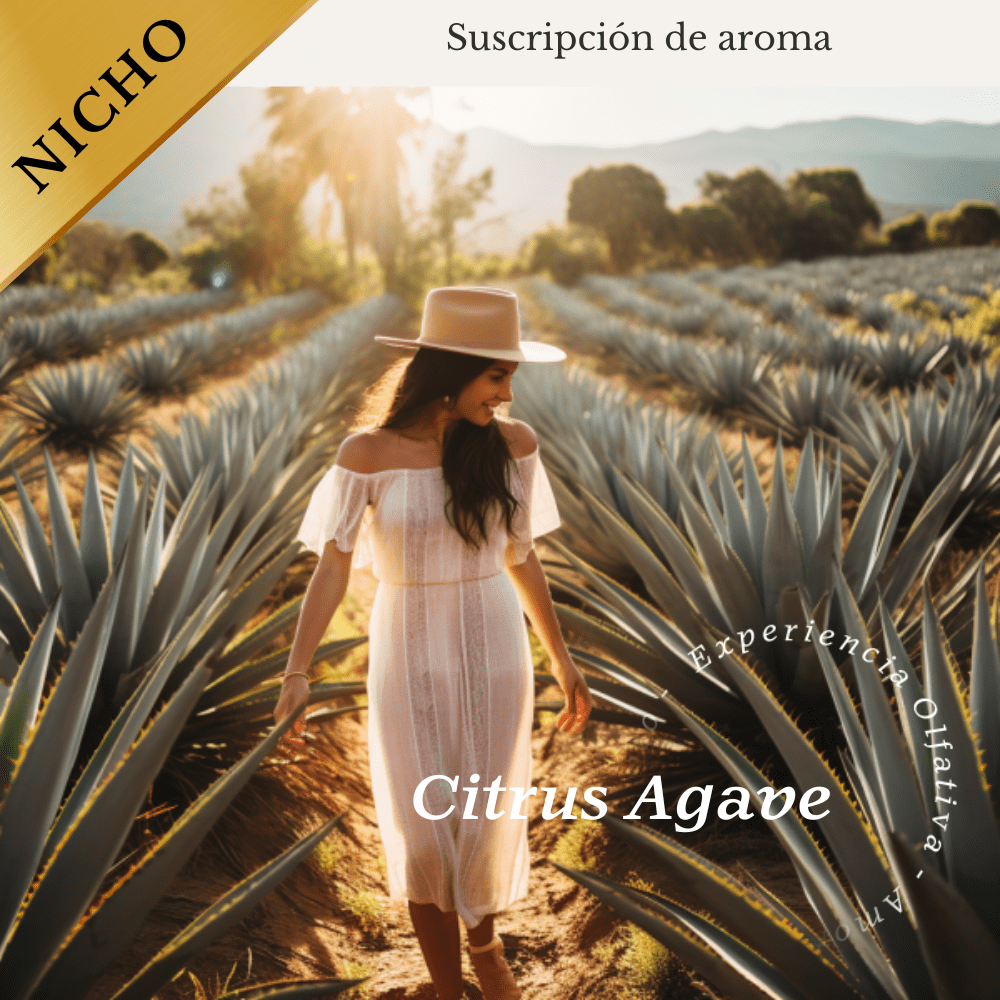 Suscripción Citrus Agave (Limón - Agave) - Olfativa Home Suscripción