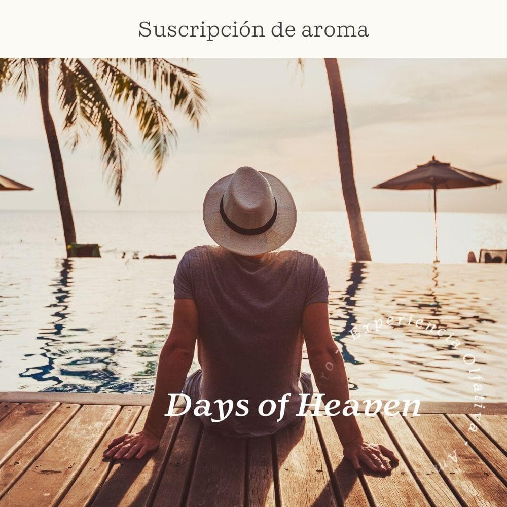 Suscripción Days of Heaven (Té Blanco y Aloe)