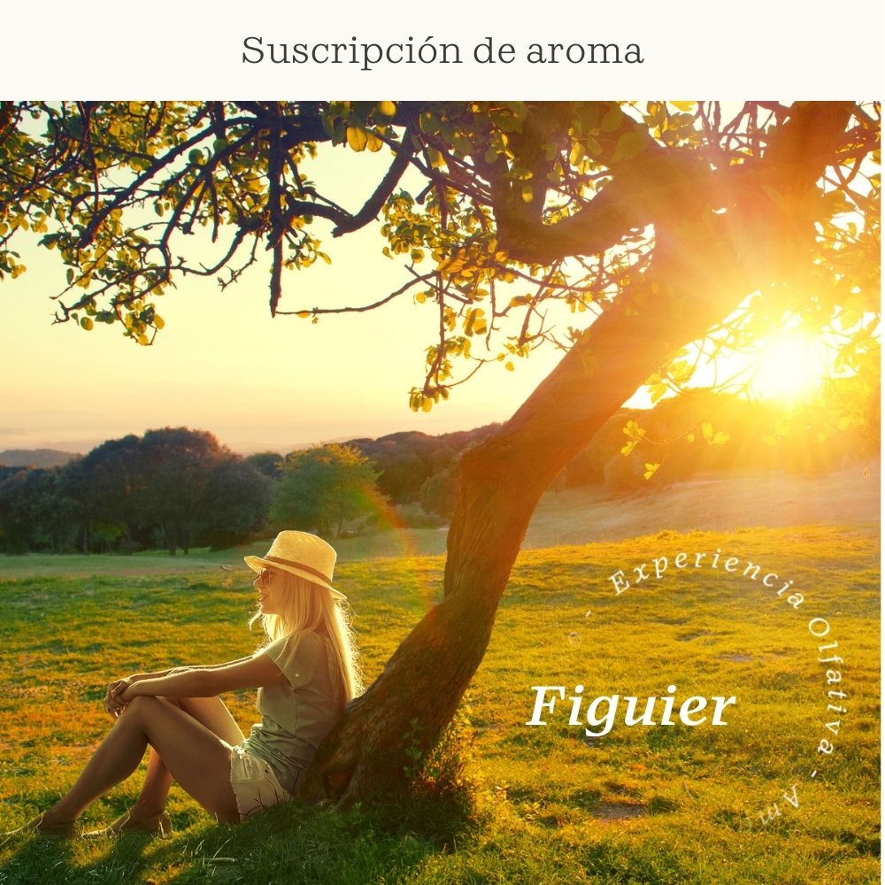 Suscripción Figuier (Higo, Gálbano) - Olfativa Home Suscripción