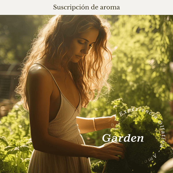 Suscripción Garden (Bergamota - Flor de loto) - Olfativa Home Suscripción