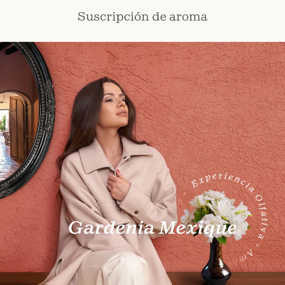 Suscripción Gardenia Mexique (Gardenia, Pachulí, Azhar) - Olfativa Home Suscripción