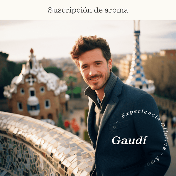 Suscripción Gaudí (Tomillo, cítricos , Sándalo) - Olfativa Home Suscripción