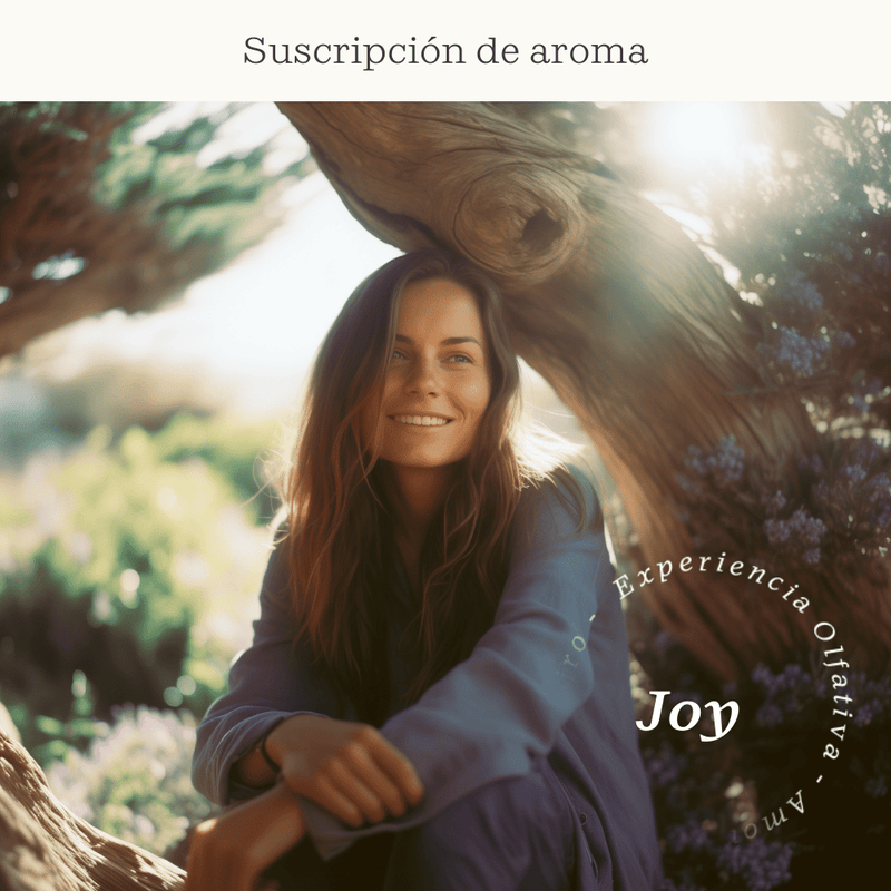 Joy Subscription (Lavender and blue cedar) - Olfativa Home Subscription