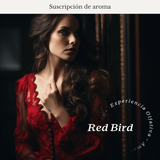 Suscripción Red Bird (Ámbar - Pimienta rosa) - Olfativa Home Suscripción