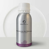 Subscription Rincones de México (Basil, Wet Mud, Amber) - Olfativa Home Odor blockers and attractant scents