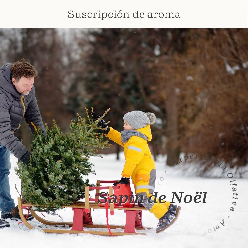 Suscripción Sapin de Noël